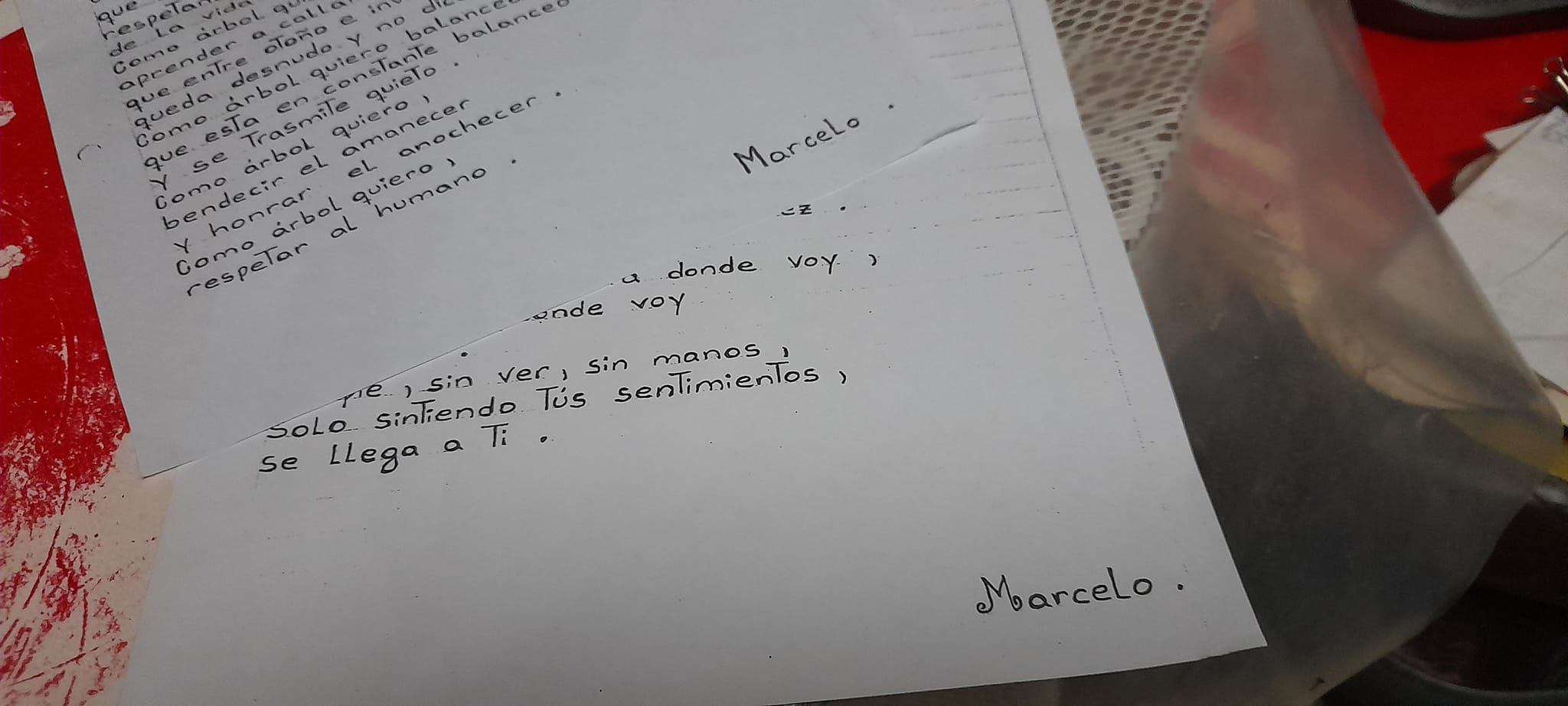Se busca a Marcelo, el escritor de los bondis