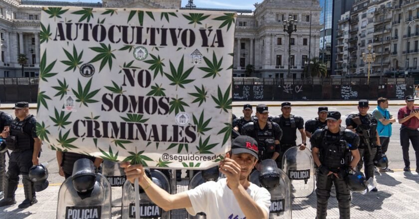 ¿Qué pasa con el cannabis en el gobierno libertario?