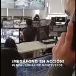 Hamacas para adultos!
