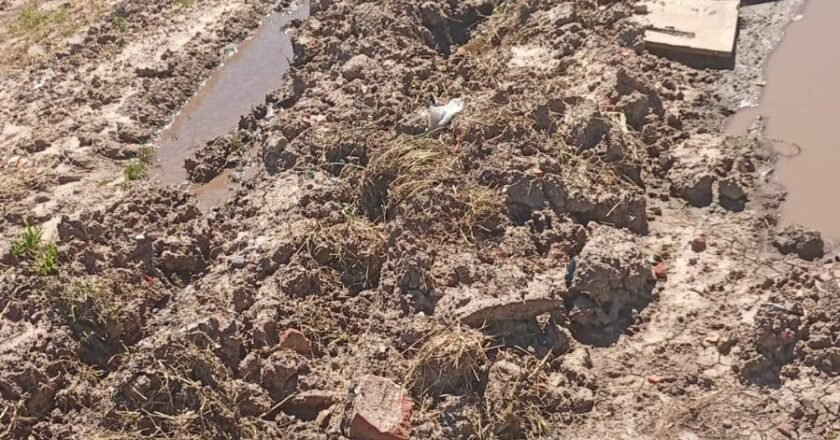 Vecinos varelenses expresan su descontento por la falta de mantenimiento y recolección en los barrios