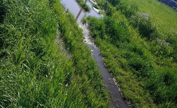 Villa Angélica: denuncian el estado de abandono de las calles