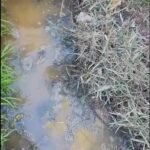 Vecinos de Villa Hudson denuncian heces en zanjas y riesgos de contaminación para el agua potable