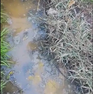 Vecinos de Villa Hudson denuncian heces en zanjas y riesgos de contaminación para el agua potable