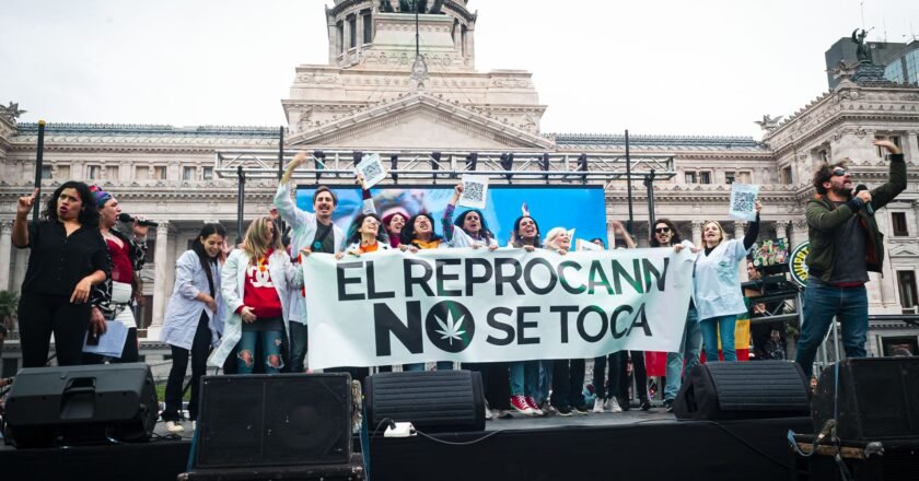 Cannabis: aceptar la realidad y regular el uso adulto