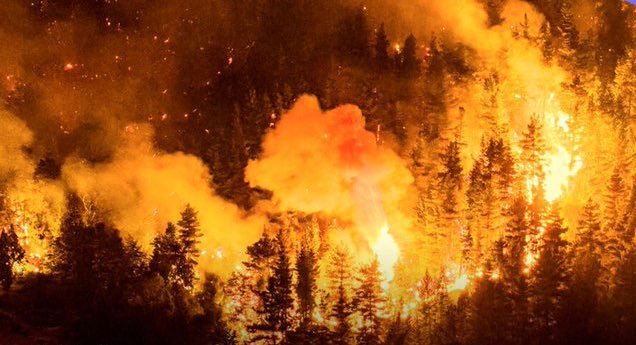 Desalojo a punta de fuego