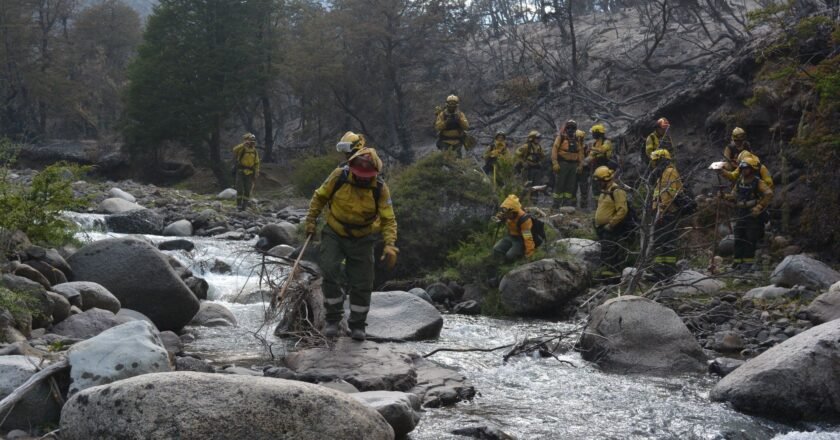 La precarización como política de Estado
