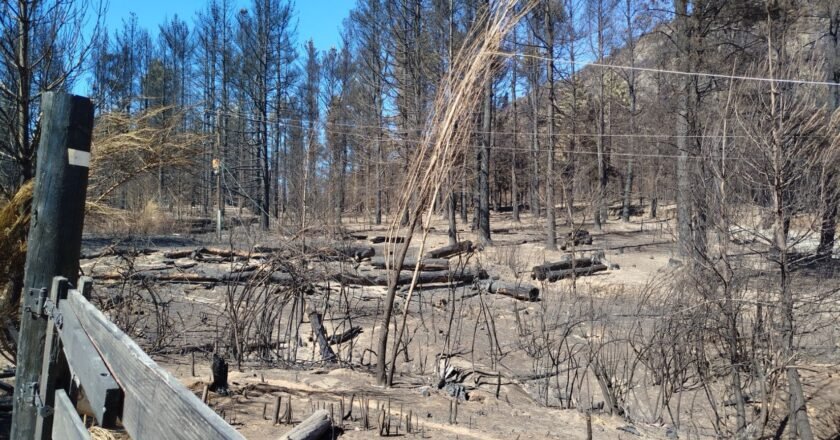 El circo de todos los años: culpar de los incendios a una comunidad mapuche