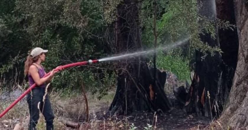 Rocío Chiappe, brigadista: “Hoy nos sostiene la organización popular”