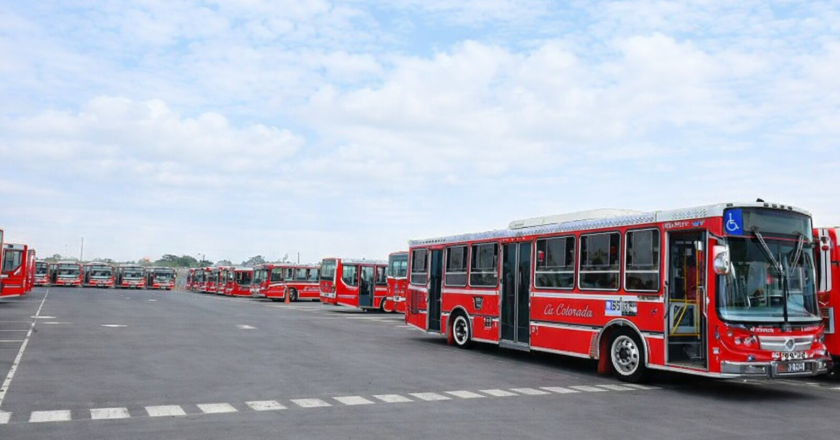 Transporte en transición: La Colorada se prepara para asumir las líneas 503, 506 y 508 en medio de un esquema de emergencia