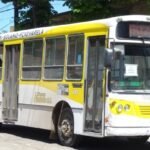 El recorrido que desapareció: qué pasó con la línea 502 tras la caída de El Nuevo Halcón