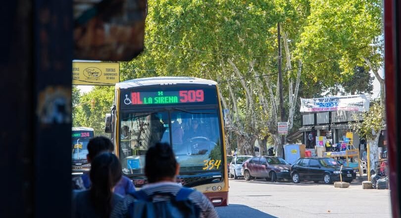 Líneas 500 y 509: Usuarios destacan mejoras en la frecuencia, pero reportan discrepancias en el cobro de tarifas