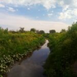 Biocorredor de Ministro Rivadavia: una propuesta comunitaria de protección ambiental para todo Almirante Brown