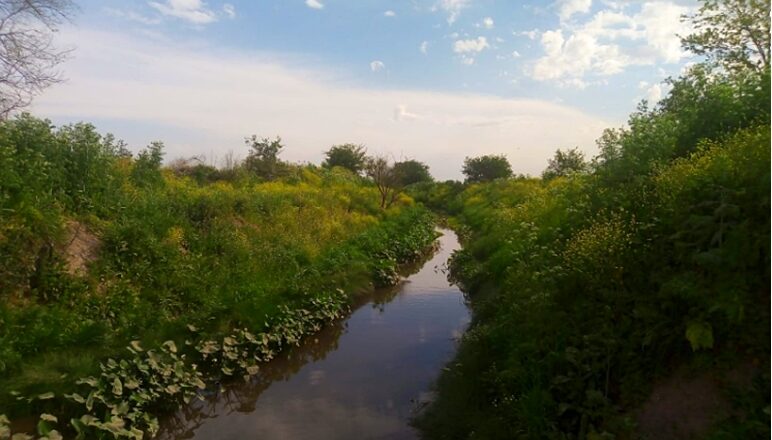 Biocorredor de Ministro Rivadavia: una propuesta comunitaria de protección ambiental para todo Almirante Brown