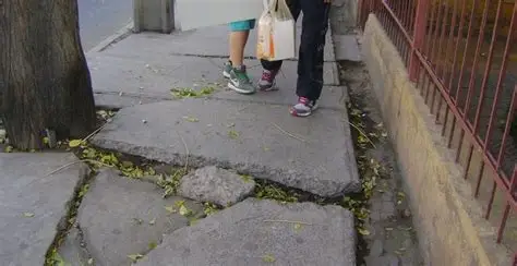 «Tengo discapacidad motriz, ayudo personas con discapacidad en mi barrio»